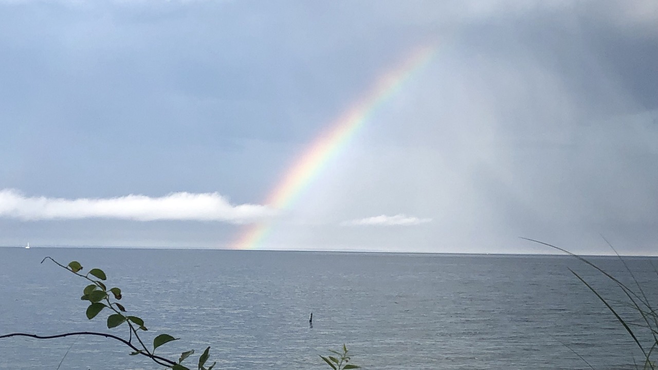 Photo of Others in Sagamore Beach