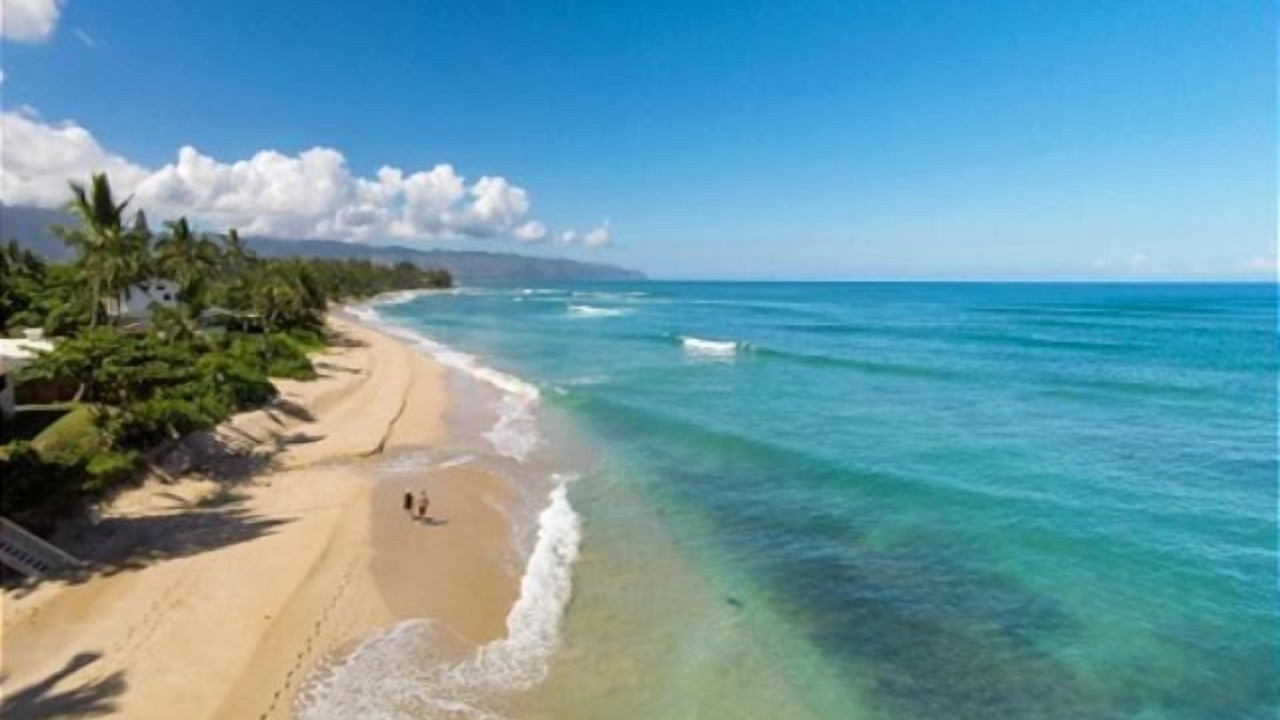 Photo of Others in Haleiwa