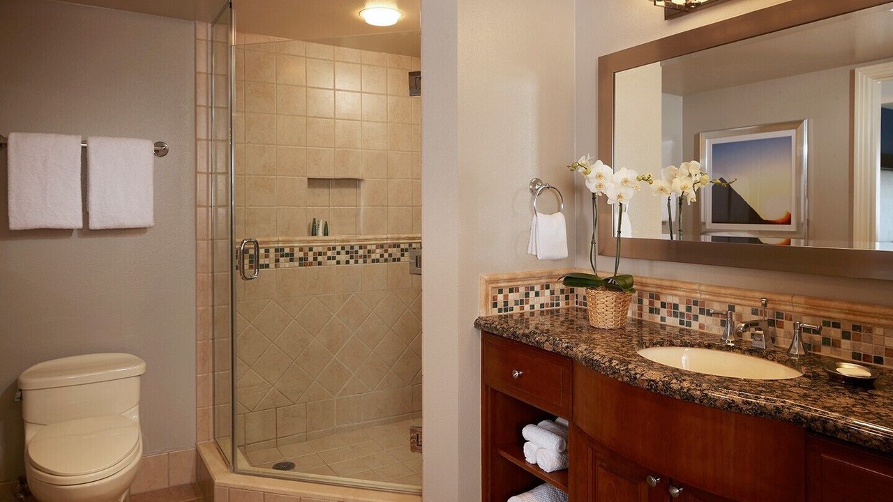Photo of Bathroom in Las Vegas Strip