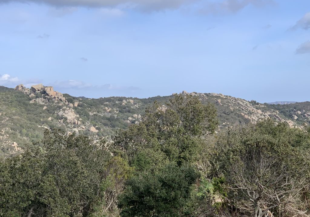 Photo of Others in Pietra Long Salvini