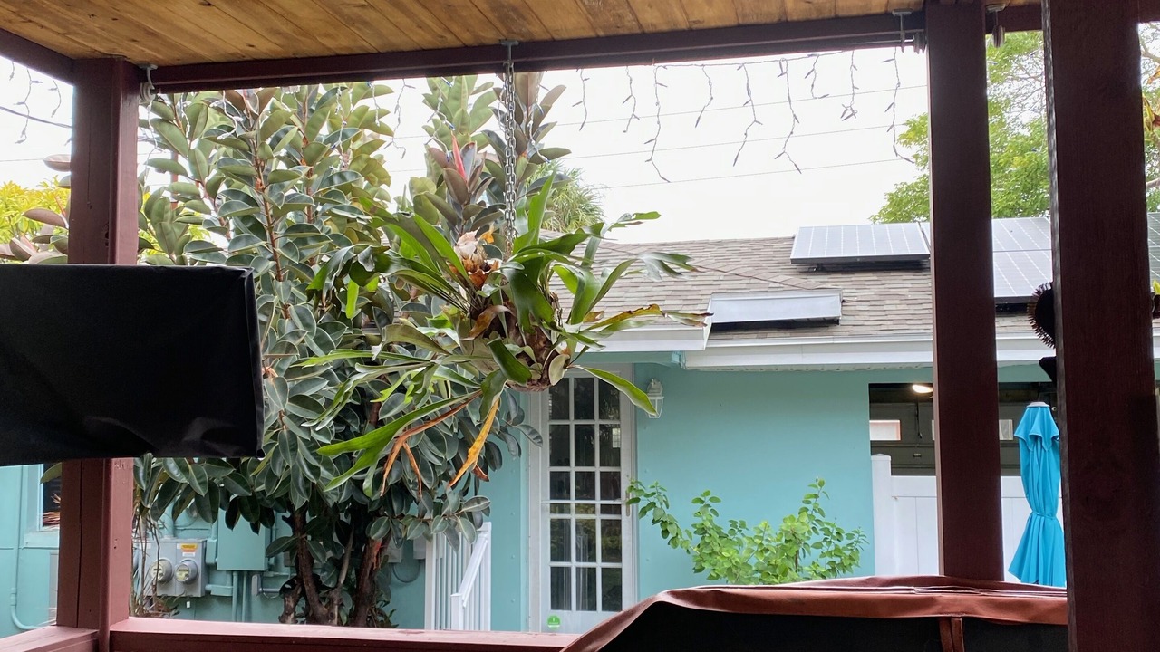 Photo of Outdoor in Don Cesar