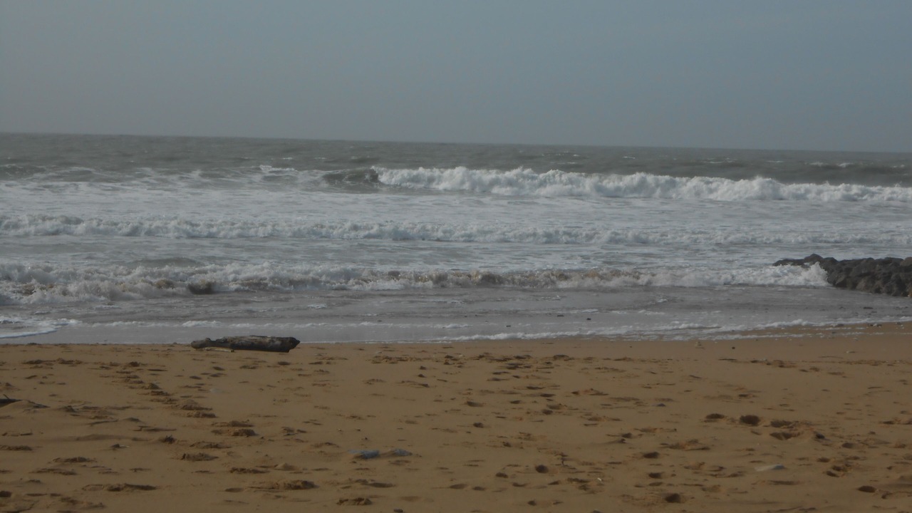Photo of Others in Jard-sur-Mer
