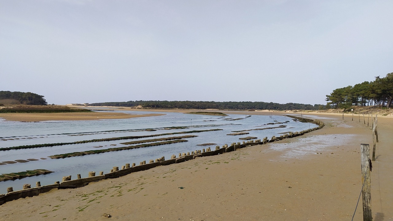 Photo of Others in Jard-sur-Mer