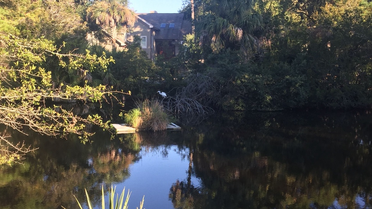 Photo of Others in Kiawah Island