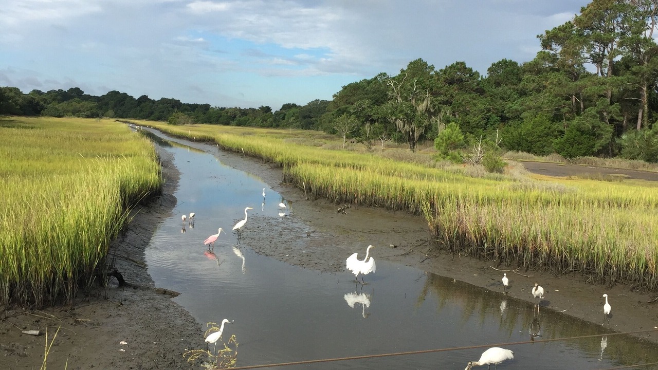 Photo of Others in Kiawah Island