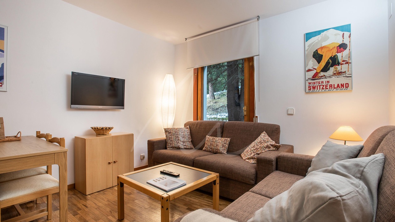 Photo of Livingroom in Baqueira