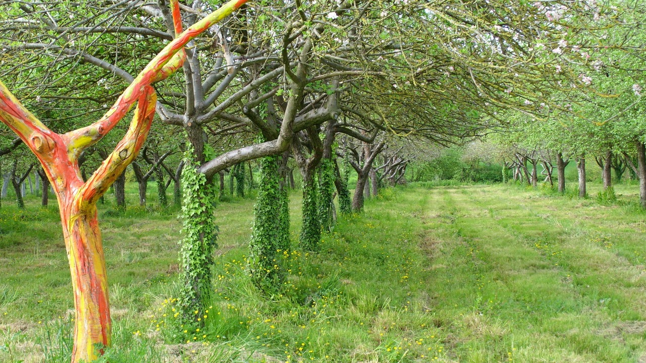 Photo of Outdoor in Eance