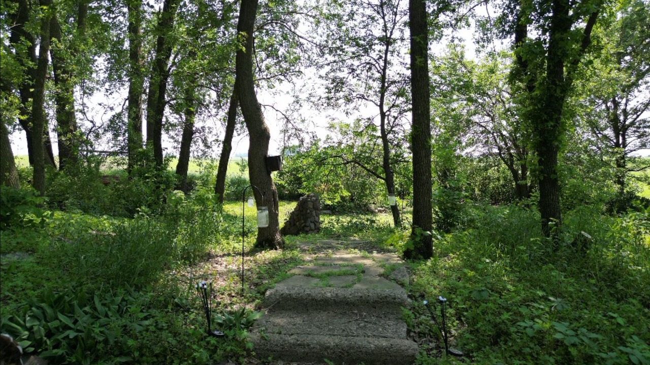 Photo of Outdoor in Judson