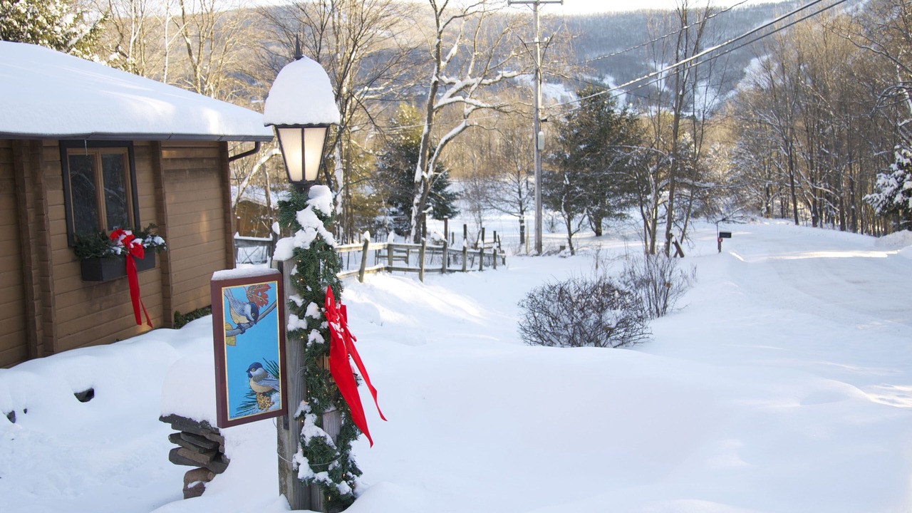 Photo of Others in Windham