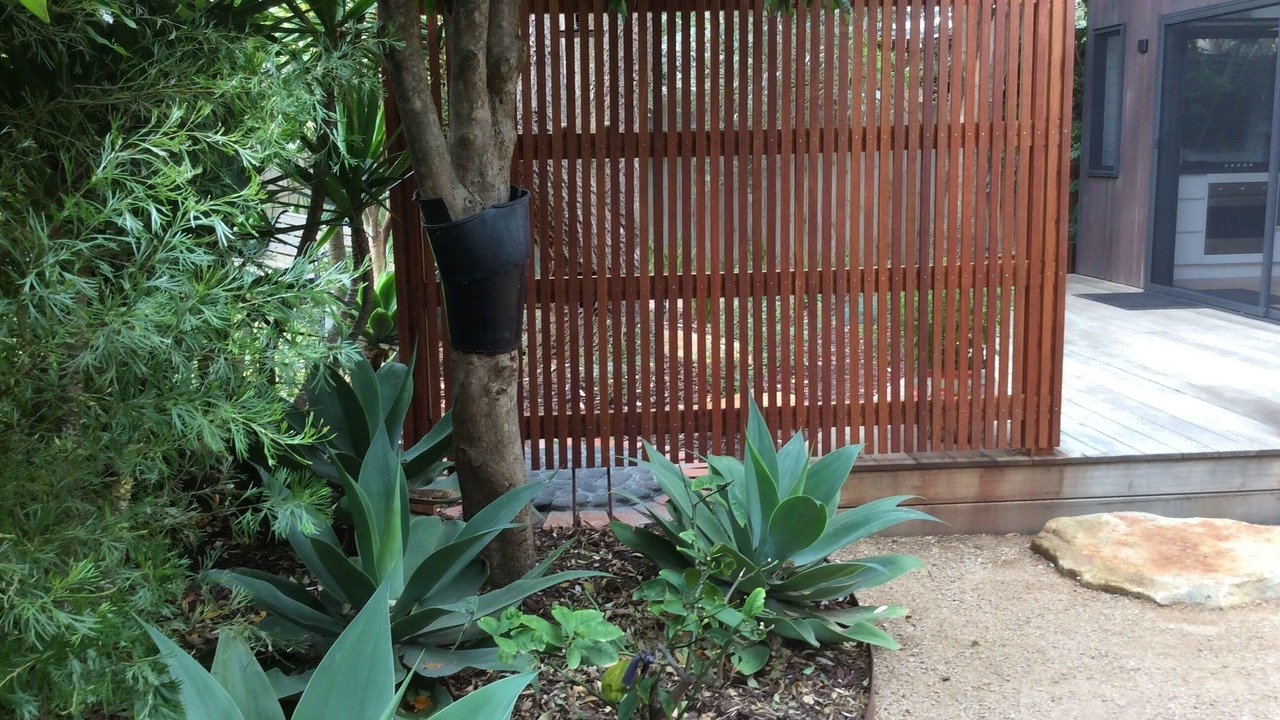 Photo of Outdoor in Smiths Beach