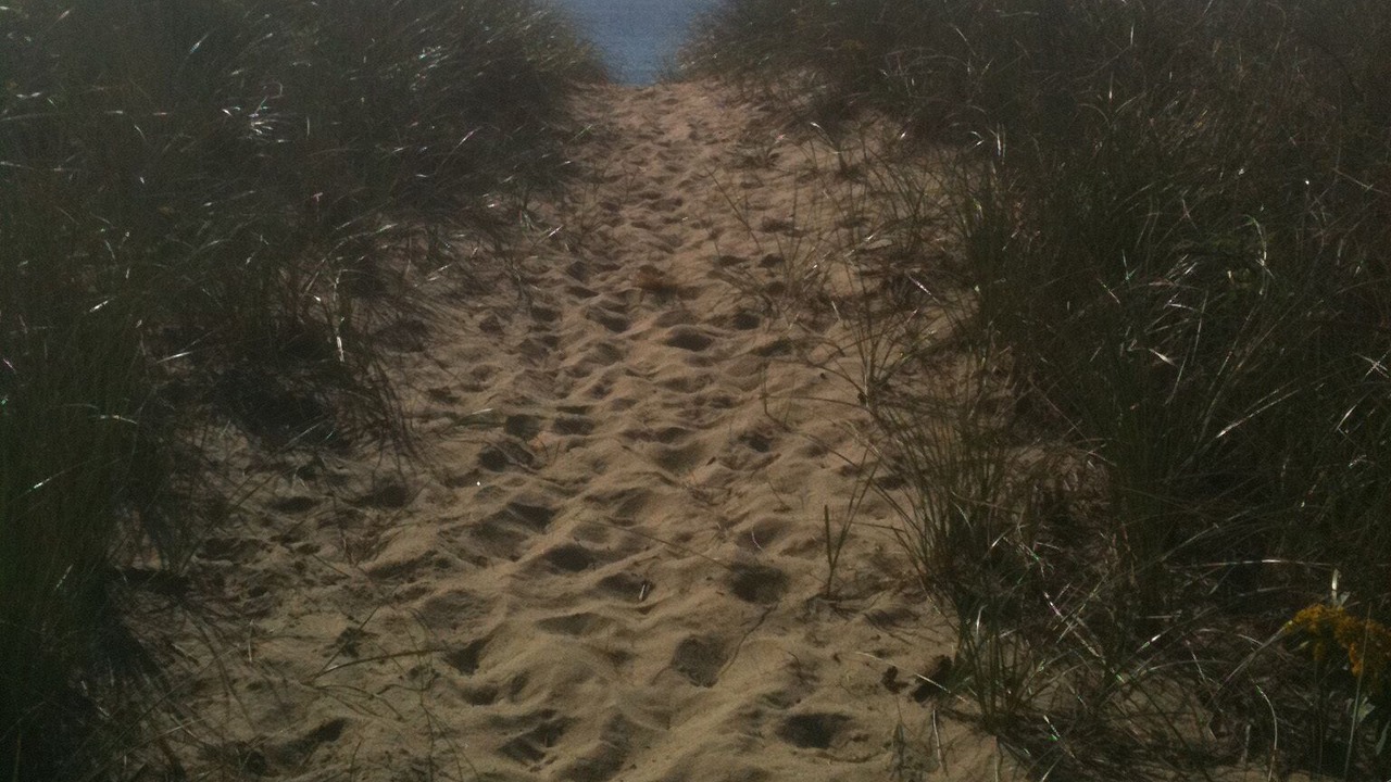 Photo of Others in Montauk