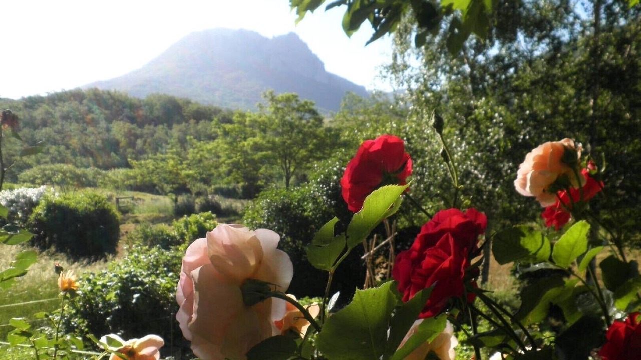 Photo of Others in Bugarach