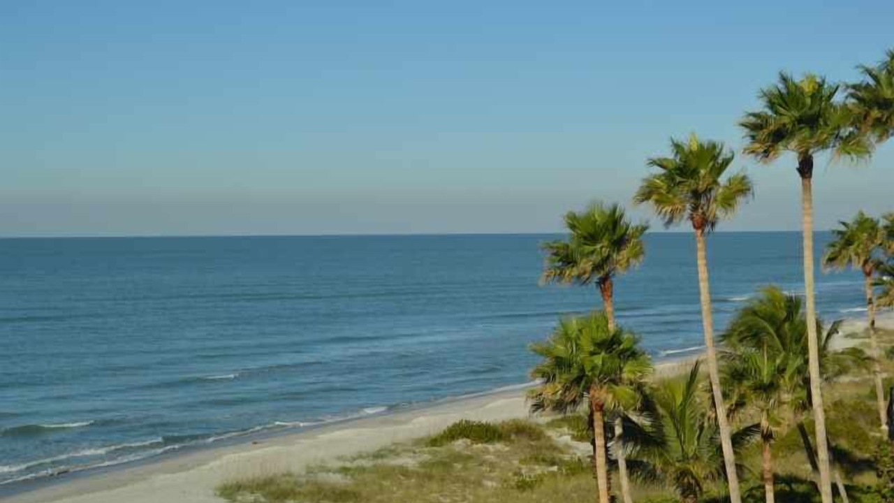 Photo of Others in Longboat Key