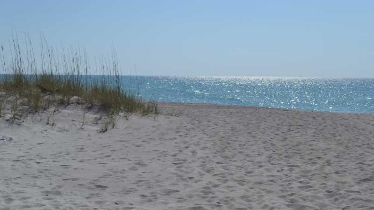 Photo of Others in Longboat Key