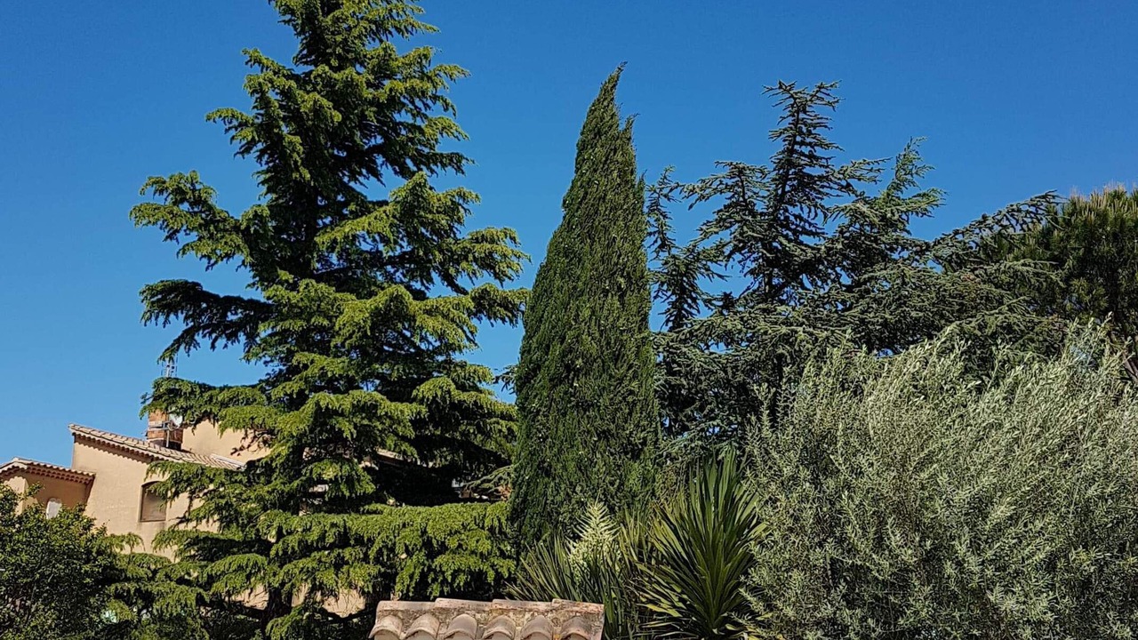 Photo of Outdoor in Laudun