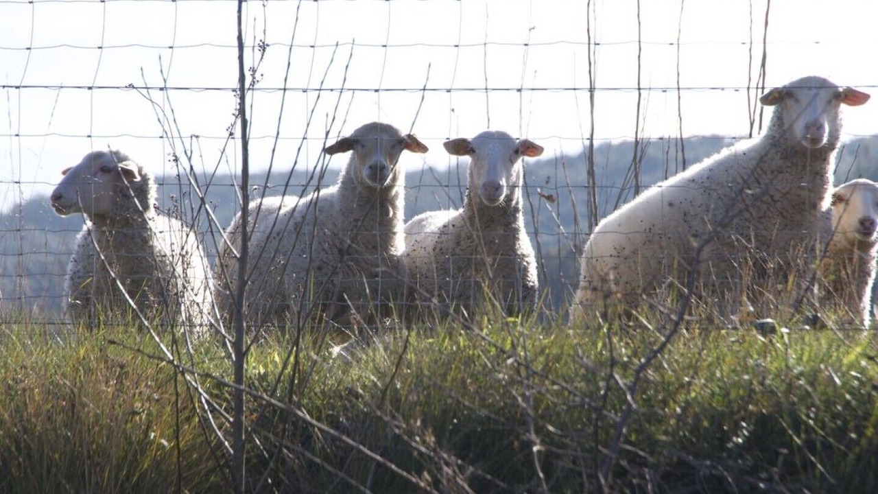 Photo of Outdoor in Sainte-Anastasie