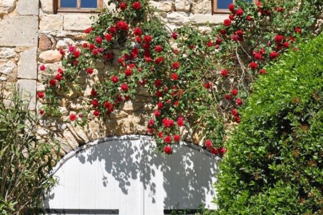 Photo of Outdoor in Sainte-Anastasie