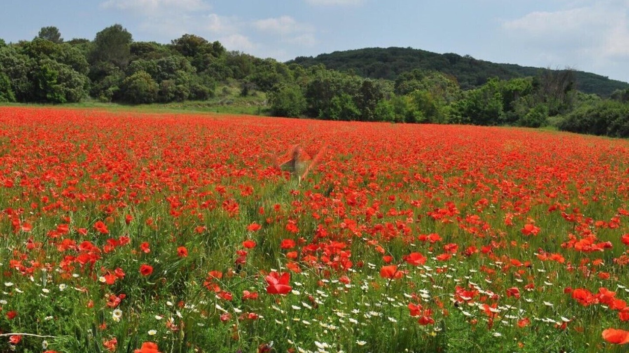 Photo of Outdoor in Sainte-Anastasie