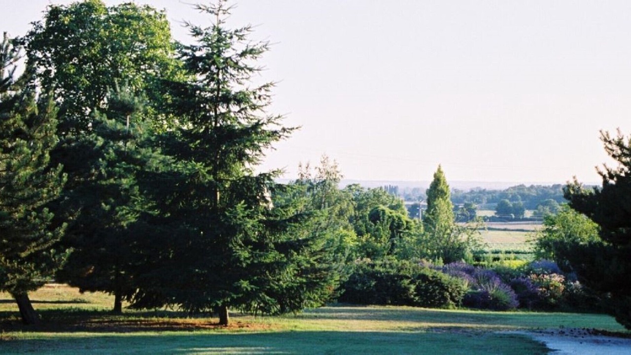 Photo of Others in Brion