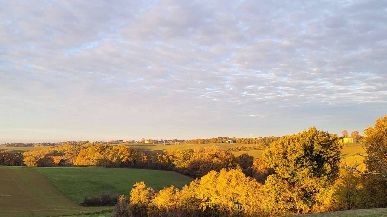 Photo of Outdoor in La Salvetat-Belmontet