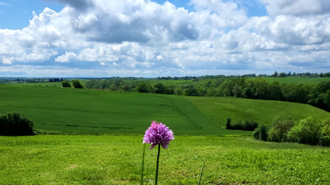 Photo of Outdoor in La Salvetat-Belmontet