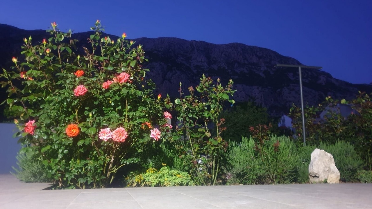 Photo of Outdoor in Gata