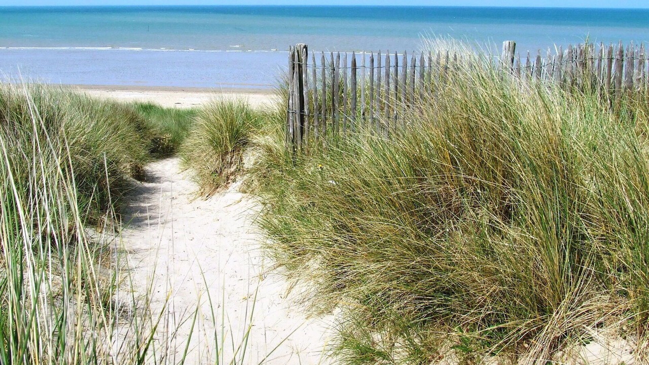 Photo of Others in Hauteville-sur-Mer