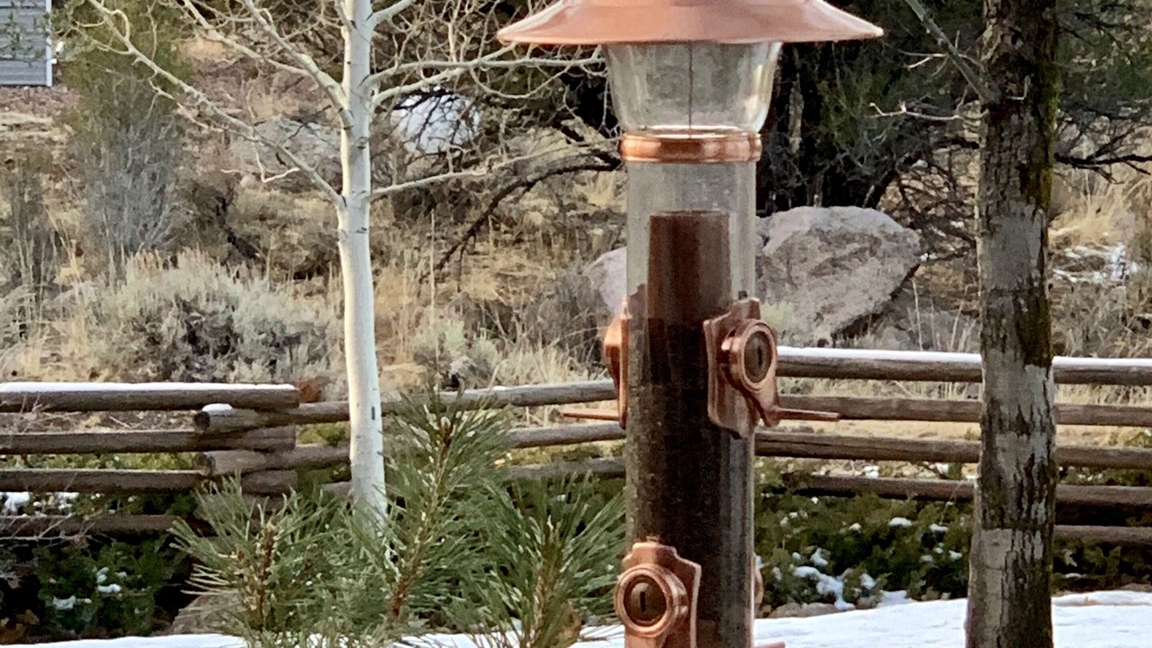 Photo of Others in Pine Valley