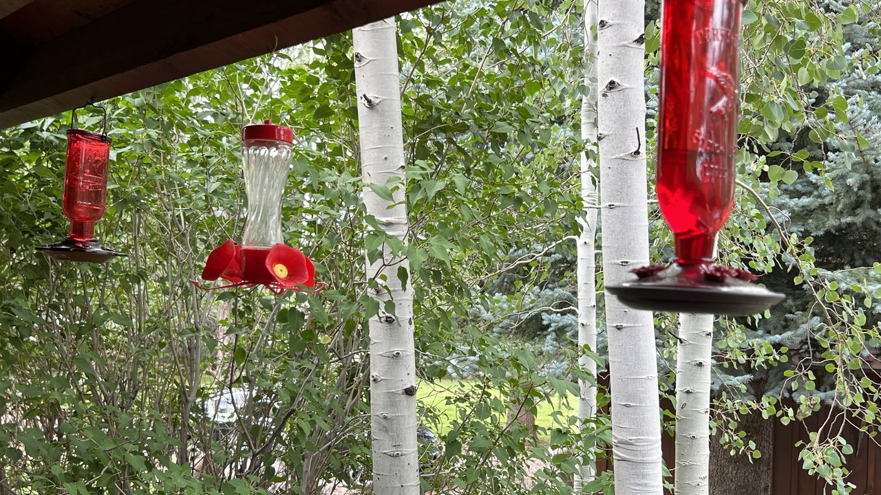Photo of Outdoor in Pine Valley