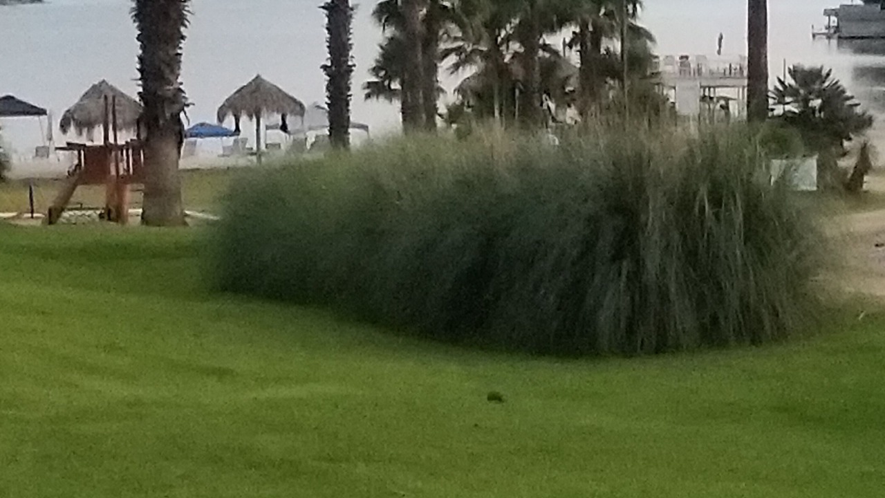 Photo of Outdoor in Granite Shoals