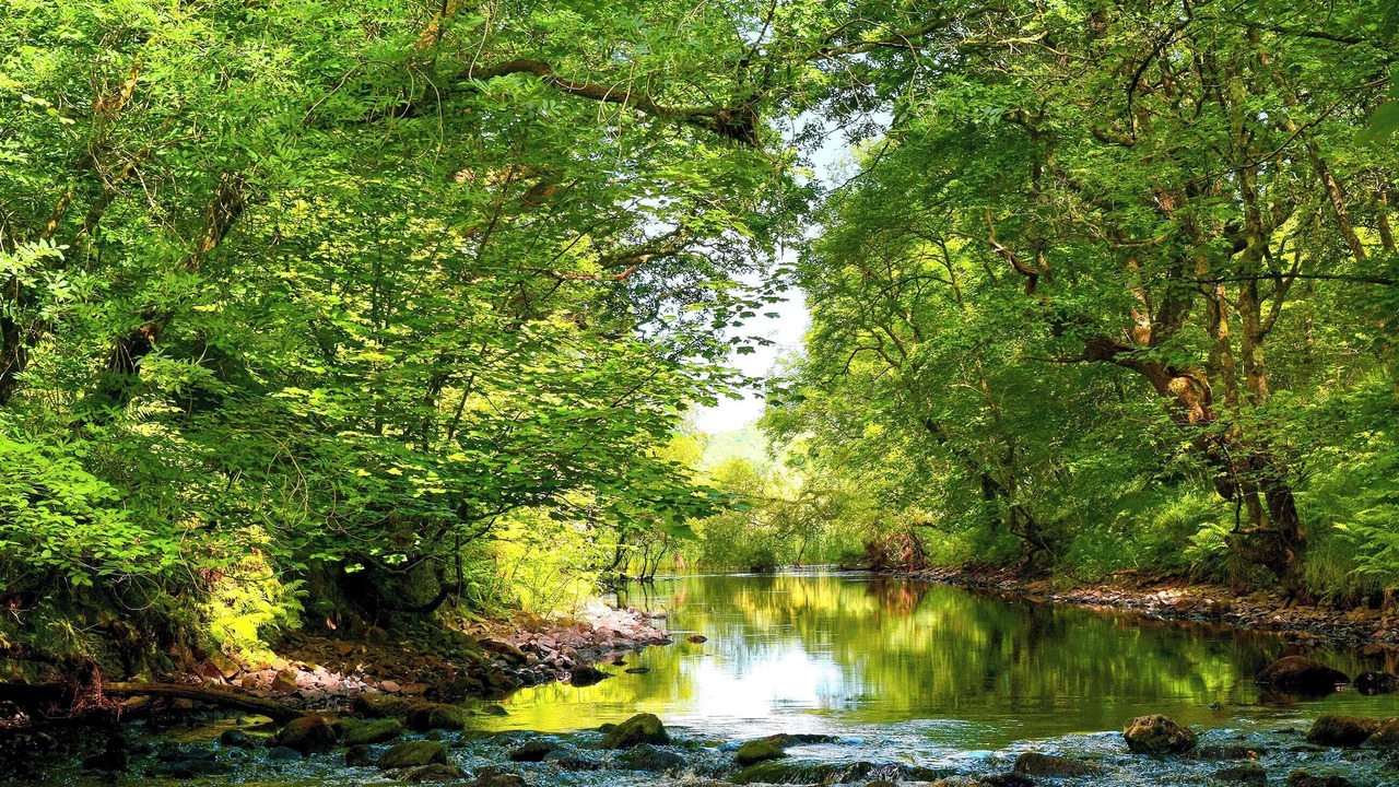 Photo of Others in New Galloway