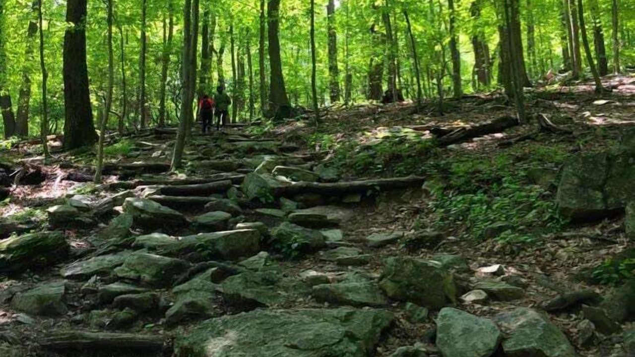 Photo of Outdoor in Dickerson