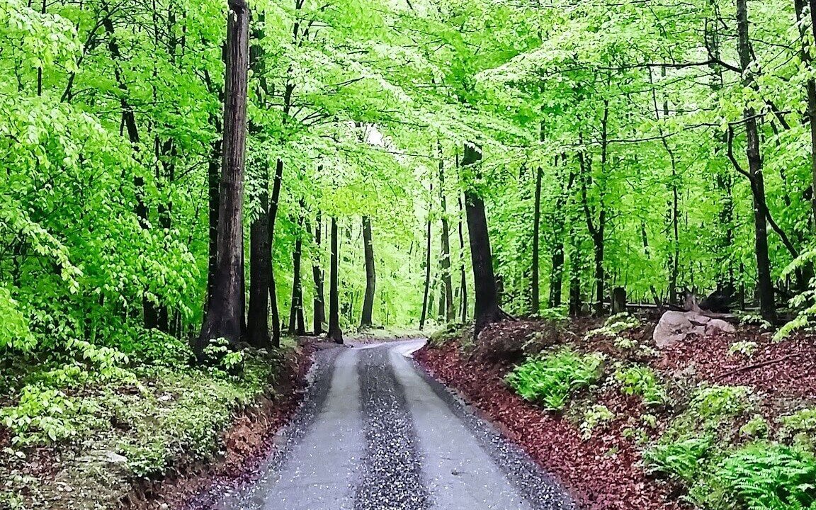 Photo of Others in Dickerson