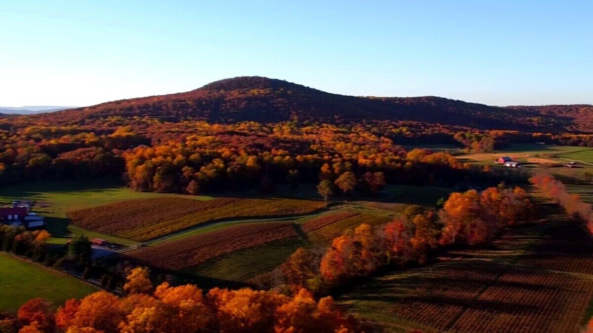 Photo of Others in Dickerson