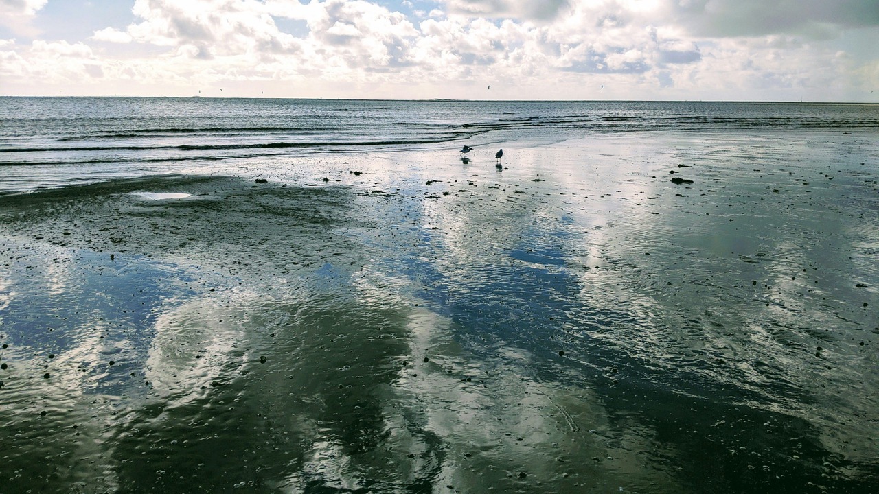 Photo of Others in Saint-Brevin-l'Ocean