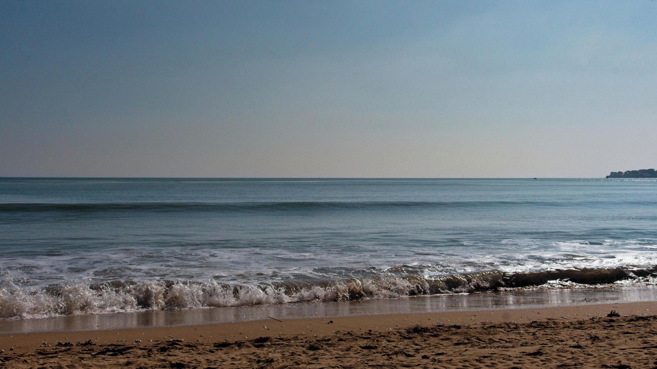 Photo of Others in Saint-Brevin-l'Ocean
