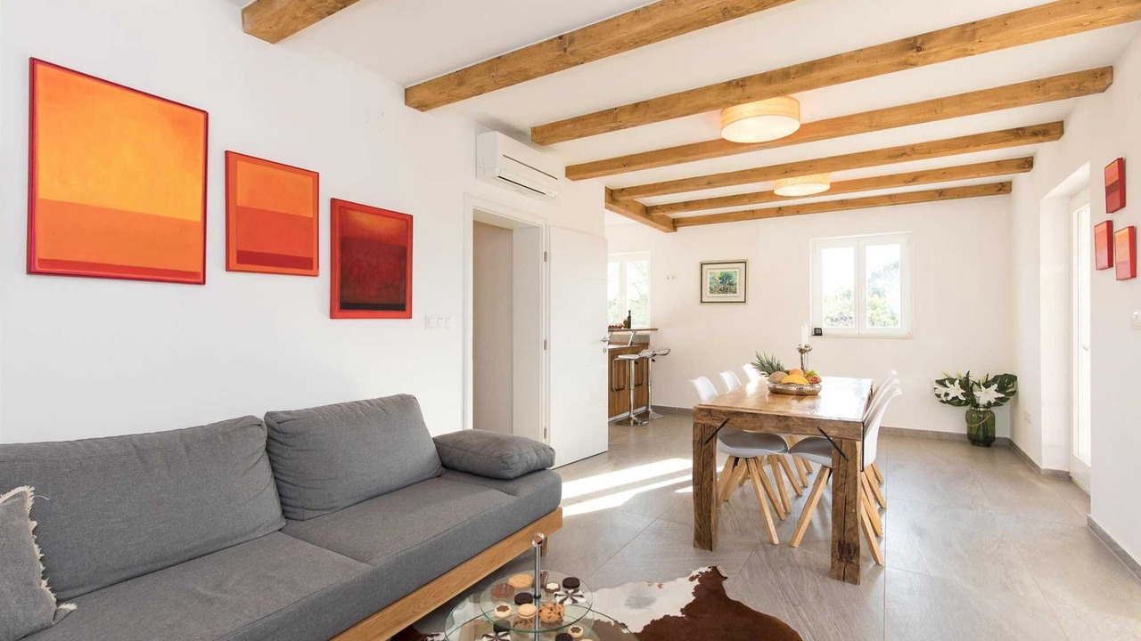 Photo of Livingroom in Milovcici