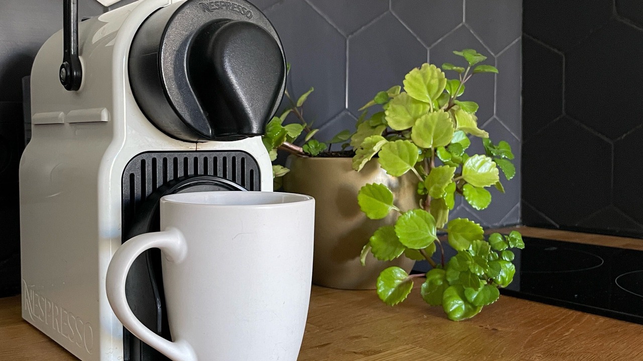 Photo of Others in Montpellier City-Centre