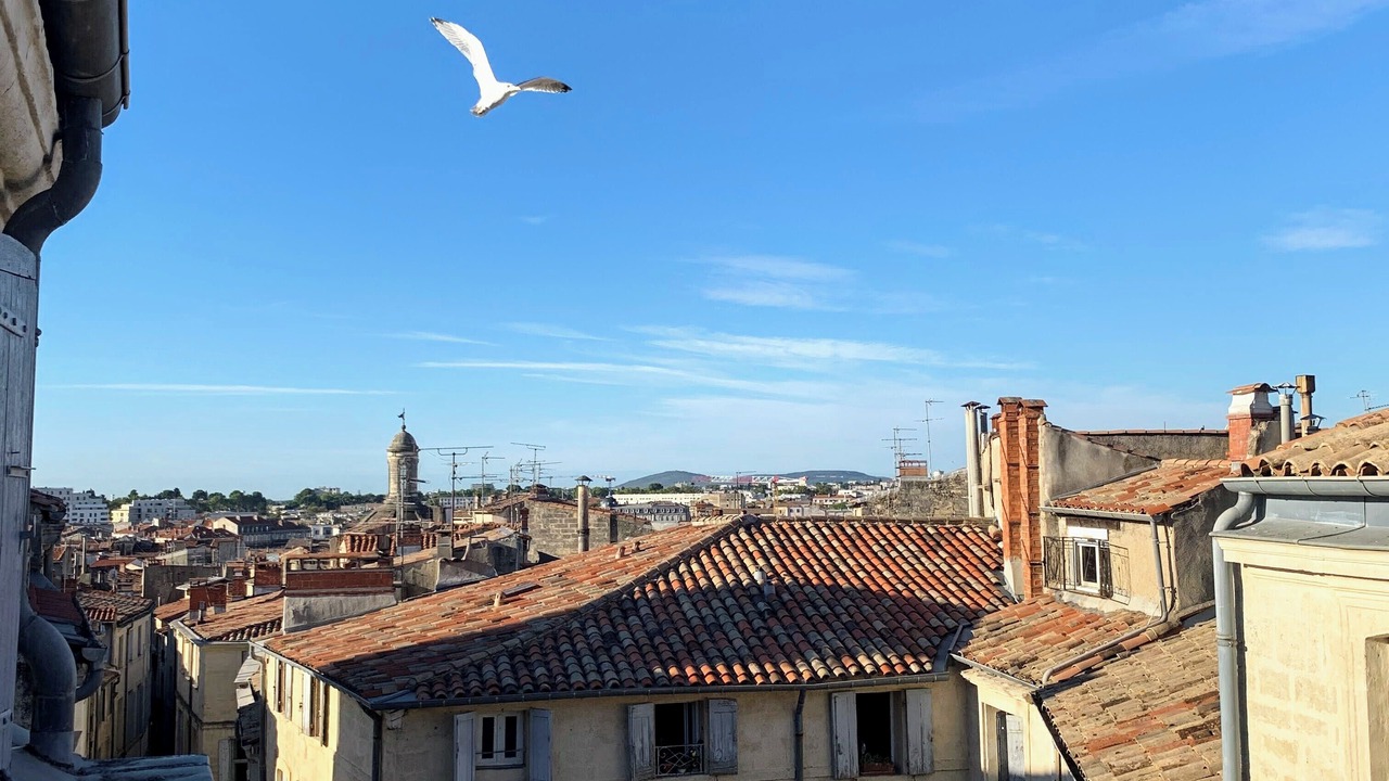 Photo of Others in Montpellier City-Centre