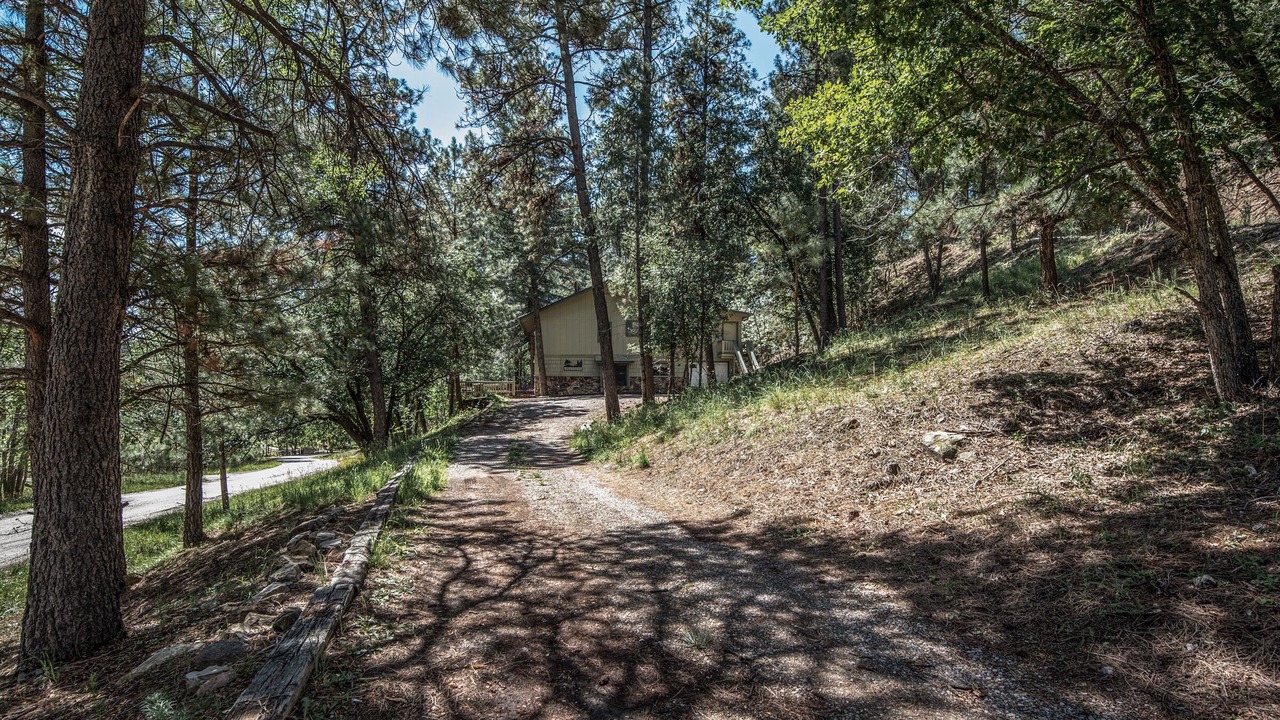 Photo of Others in Ruidoso