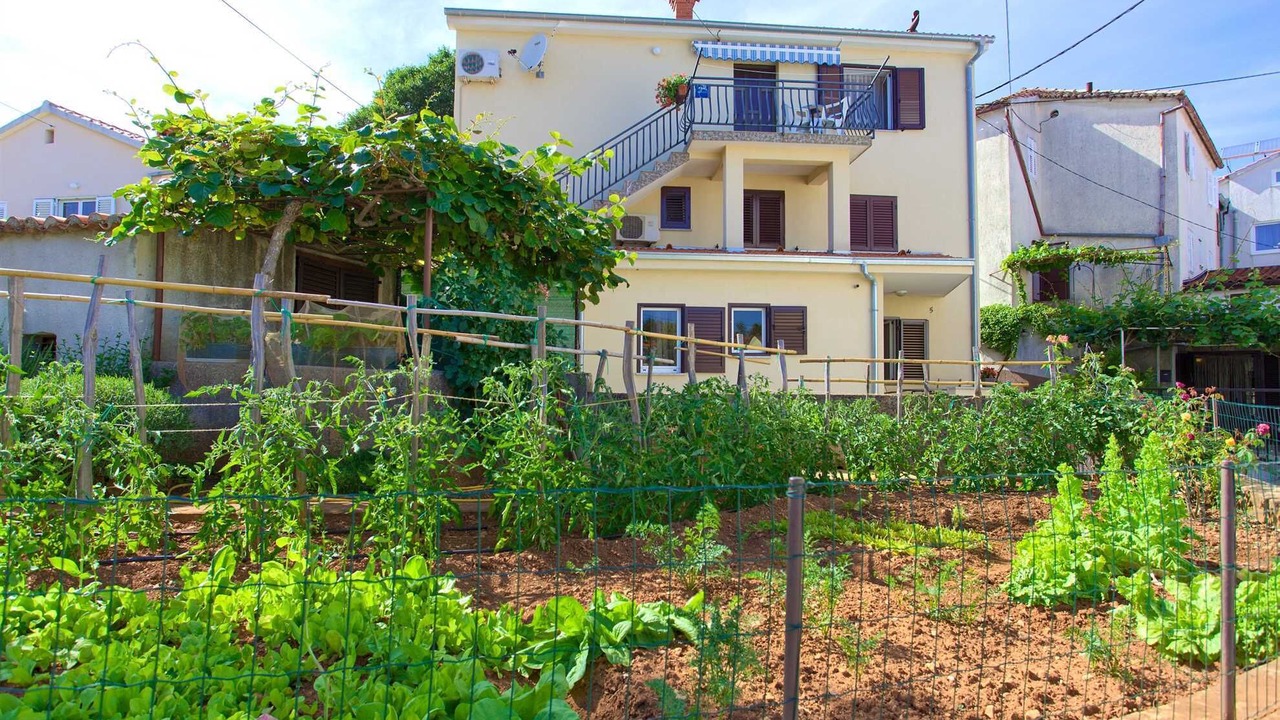 Photo of Outdoor in Vantacici