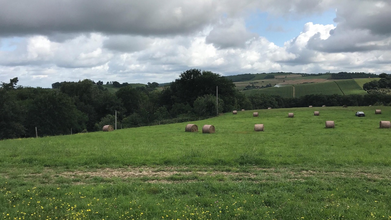 Photo of Outdoor in Puygaillard-de-Quercy