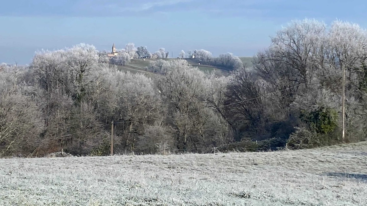 Photo of Others in Puygaillard-de-Quercy