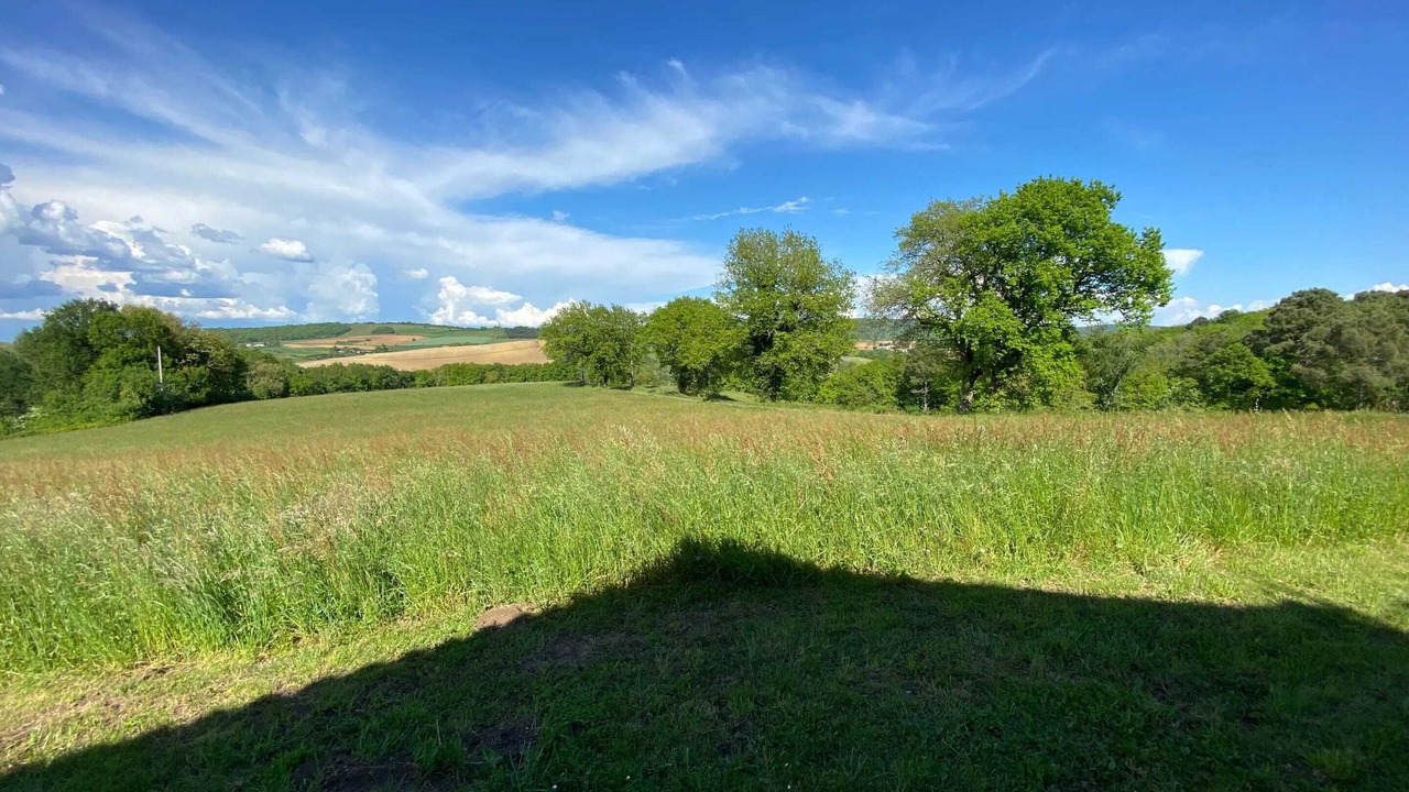 Photo of Others in Puygaillard-de-Quercy