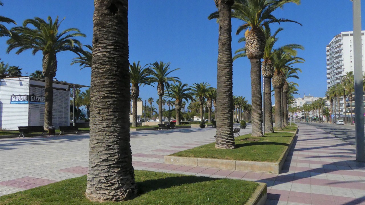 Photo of Outdoor in Salou City Centre