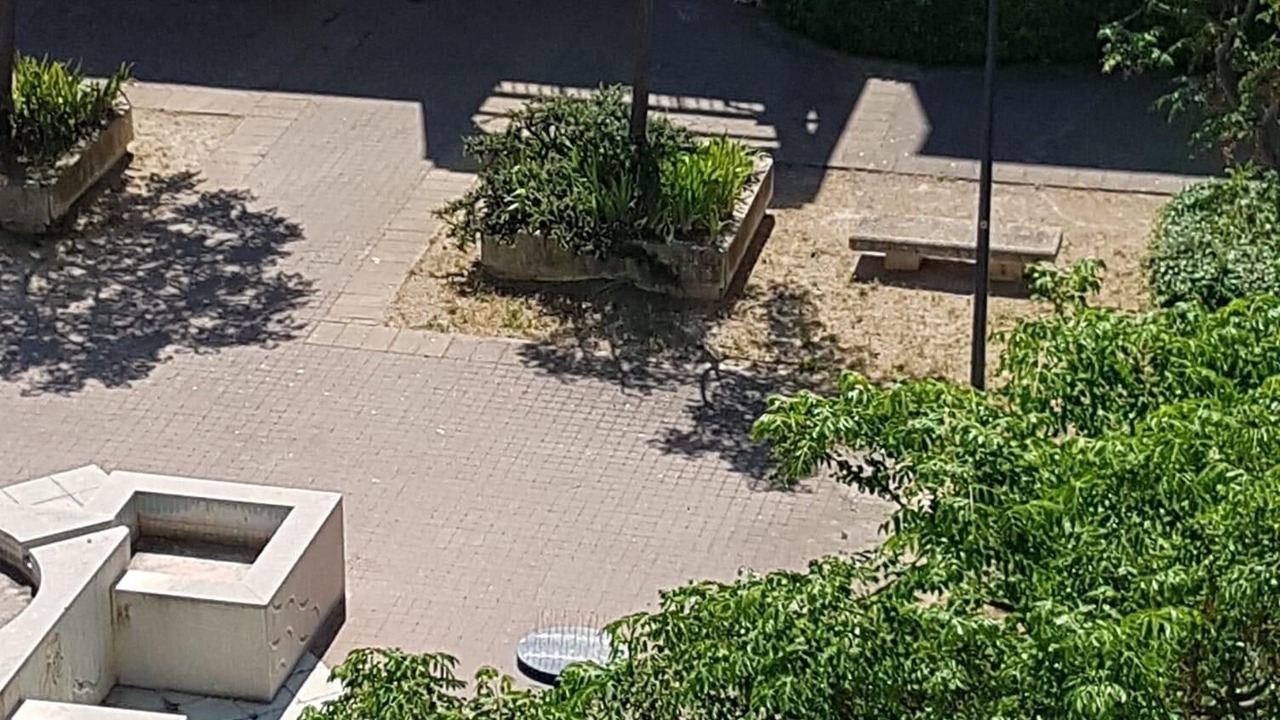 Photo of Outdoor in Sete