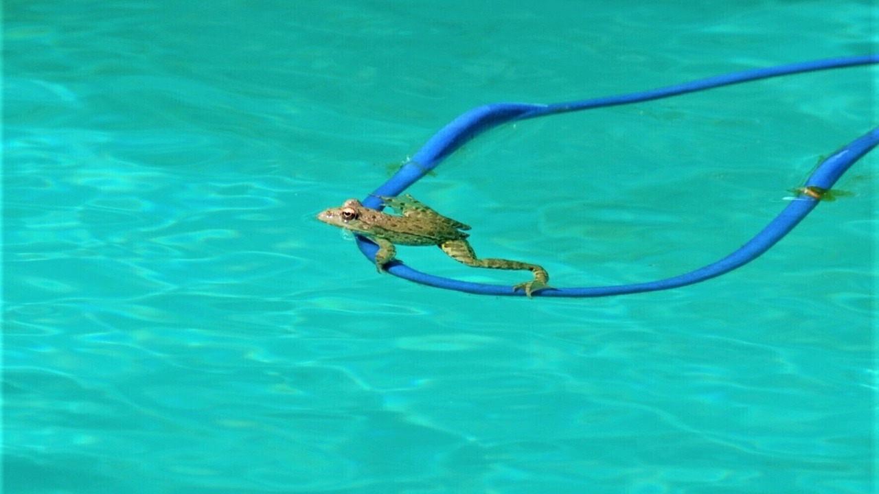 Photo of Outdoor in La Perche