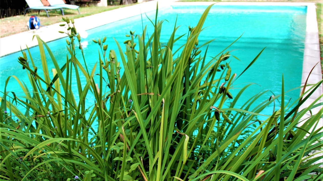 Photo of Outdoor in La Perche