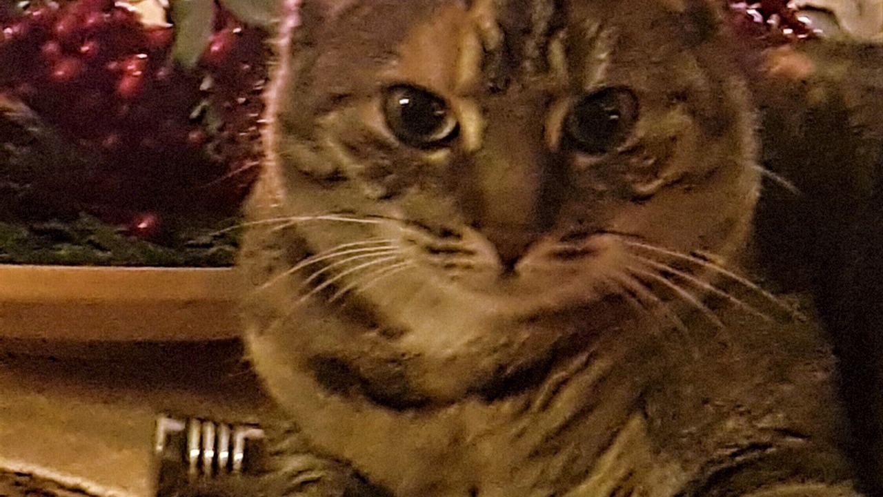 Photo of Others in La Perche