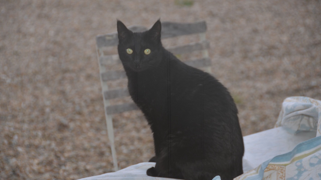 Photo of Others in La Perche